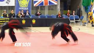 Kuk Sool Won in 2 Minutes  Just The Basics [upl. by Laeynad89]