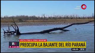 Preocupa la bajante del río Paraná [upl. by Oelgnaed]