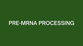 PremRNA Processing [upl. by Kreegar517]