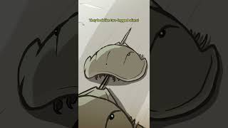 Trispine Horseshoe Crab 🦀🦂 animation original cartoon [upl. by Elaen619]