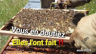 ▶️ Vous en doutiez❓️Et pourtant 😉 apiculture [upl. by Lunneta]