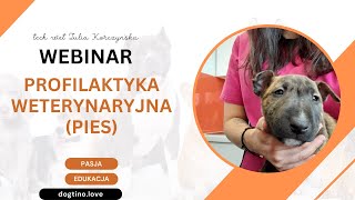 DARMOWY WEBINAR  profilaktyka weterynaryjna psy [upl. by Aicilehp174]