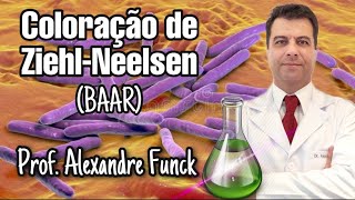 COLORAÇÃO DE ZIEHLNEELSEN BAAR  PROF ALEXANDRE FUNCK [upl. by Arabele]