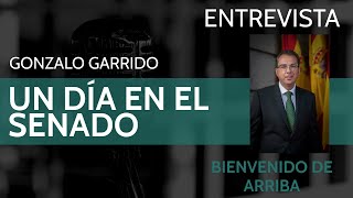 Entrevista al senador Bienvenido de Arriba PP [upl. by Notsek]