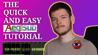 The Quick and Easy Aegisub Subtitle Tutorial [upl. by Conner]