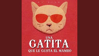 Una Gatita Que Le Gusta el Mambo [upl. by Yanehc]