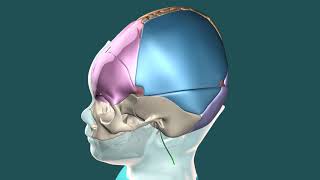 Hydrocephalus Repair [upl. by Mima]