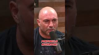 Joe Rogan was shocked after hearing that [upl. by Aseela172]