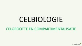 Celbiologie  celgrootte en compartimentalisatie [upl. by Kaete]