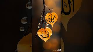 Allah hoo😍😍😍islamicpoetryinurdu status urdupoetry [upl. by Gabel]