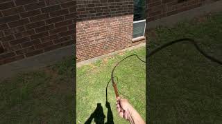 Bullwhip vs dandelion Will it cut funny duet [upl. by Anwahsed]