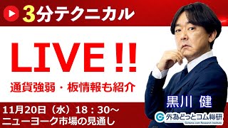 見通しズバリ！3分テクニカル分析「ライブ‼」 NY市場の見通し 2024年11月20日 [upl. by Nauht134]