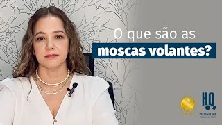 Moscas Volantes você sabe o que são [upl. by Hampton]