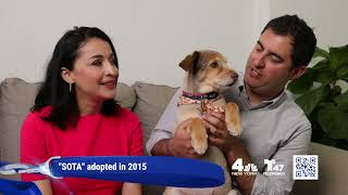 WNBC  WNJU 2023 Clear the Shelters 30 PSA [upl. by Enaej]