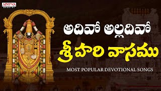 Adivo Alladivo Sri Hari vasamu  Annamacharya Keertanalu  Lord Venkateshwara swamy Songs balaji [upl. by Ahsikym44]