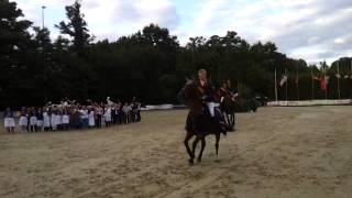 Deutsche Jugendmeisterschaft im Reiten 2014 in ZeiskamSiegerrunde der Meister [upl. by Dovev321]