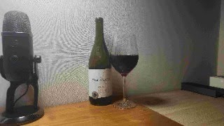 107 Precarious Oregon Pinot Noir 2019 프리케리우스 오리건 피노 누아 2019 [upl. by Eicirtap]