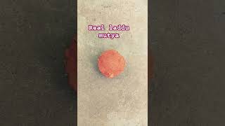 Real laddu mutya [upl. by Ehsrop]