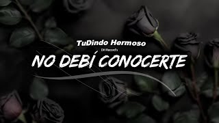 “No Debí Conocerte”💔  TuDindo Hermoso Audio Oficial [upl. by Andra239]