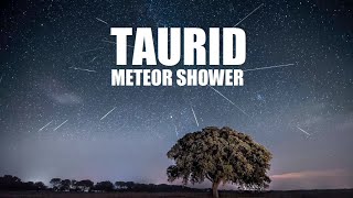 Southern Taurid Meteor Shower 2024  Taurid Meteor Shower 2024  Comet 2PEncke [upl. by Tessler]