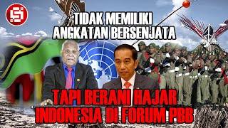 Negara Kecil Pendukung Papua Merdeka  6 Fakta Negara Vanuatu Yang Sering Serang Indonesia di PBB [upl. by Annat]