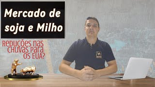 Mercado de Saoja e Milho 160824 [upl. by Earaj]