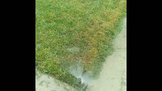 How a lawn sprinkler popup head works [upl. by Claretta773]