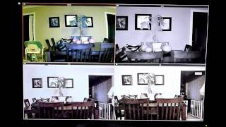 4 Ip Cam Comparison Foscam FI8918W Panasonic BLC210A and BLC121A Dlink DCS932L [upl. by Vitkun]