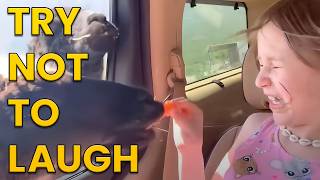 Funniest Animals of the Year Try Not To Laugh Challenge 🙈😹 [upl. by Bobinette412]