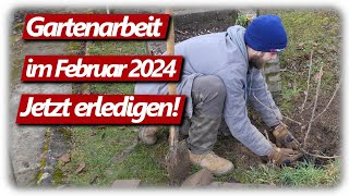 Gartenarbeit Februar  Feigen schneiden Weinreben Gartenplanung Johannisbeeren pflanzen amp düngen [upl. by Aeel]