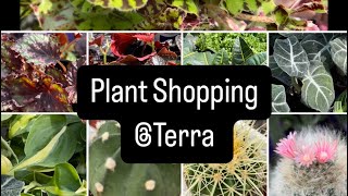 Plant shopping  Terra  Hoya houseplants and more [upl. by Etheline]