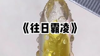 《往日霸凌》一口气看完  校庆晚会，我把校花的霸凌视频放到大屏幕上，所有人眼中的乖乖女校花，此刻被吓得瘫坐在地小说 故事 [upl. by Cochran]