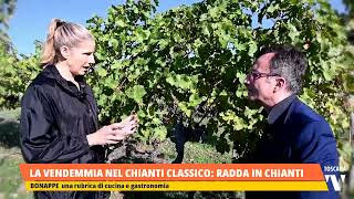 20241019 BONAPPE  LA VENDEMMIA NEL CHIANTI CLASSICO RADDA IN CHIANTI [upl. by Myrta]