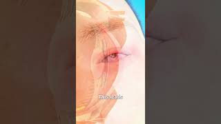 What is pink Eye 3d Animation short pinkeye educational 3danimation [upl. by Sisco733]