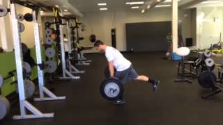 Eccentric Single Leg Deadlift [upl. by Banyaz546]