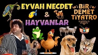 EYVAH NECDET amp HAYVANLAR  Bir Demet Tiyatro [upl. by Aneelas]