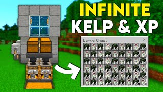 Best Kelp XP Farm in Minecraft Bedrock 121 [upl. by Nohsauq70]