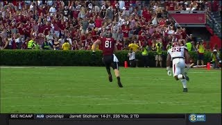 2017 USC vs Arkansas  Hayden Hurst 62 Yd Touchdown Reception [upl. by Giulio]