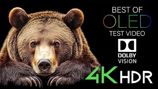 Best of OLED Test Video  4k hdr 60fps [upl. by Anavlys934]