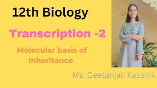 12th Biology  Transcription  2 [upl. by Millur]