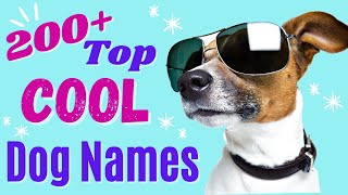 Top 200 COOL Dog Names – Awesome Dog Name Ideas [upl. by Sivrahc]