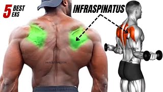 TOP 5 INFRASPINATUS MUSCLE WORKOUT AT GYM [upl. by Eidaj]