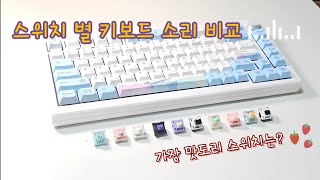 스위치 별 키보드 소리를 비교해보자  akko mod007 pc 키보드 [upl. by Okimuk81]