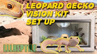 Leopard gecko set up  LLLReptile vision kit [upl. by Delisle]