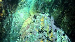 Diving Skellig Michael [upl. by Itirp]