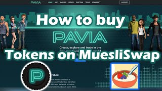 How to buy Pavia Coins on Cardano DEX [upl. by Ycnaf]