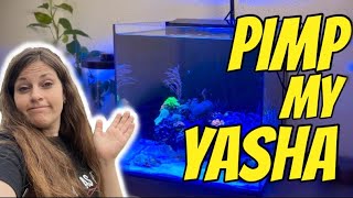 Aufregendes und erfolgreiches Upgrade 😲 meines Yasha 90  das Meerwasser Aquarium optimal einrichten [upl. by Geffner]