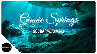 SCUBA Diving Ginnie Springs  Florida Spring Diving [upl. by Razatlab]