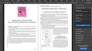 ¿De dónde estudiar neuroanatomía [upl. by Oderfla]