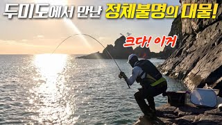 두미도 “물 내려오는 자리”에서 만난 정체불명의 대물 [upl. by Adnolrehs]